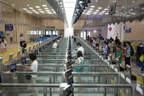 中國科技網 引領網絡技術服務創新，賦能數字中國建設