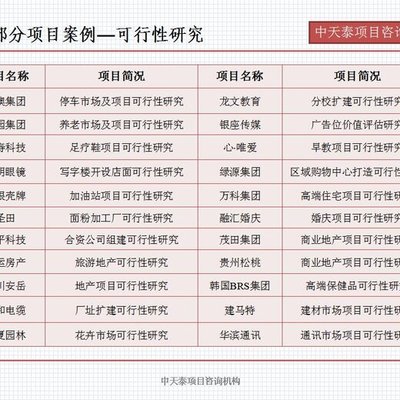 《濟南市眼鏡架產(chǎn)業(yè)重組技改招商項目融資可行性研究報告》寫作指南